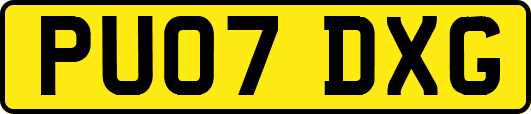 PU07DXG