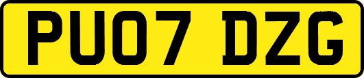 PU07DZG
