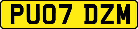 PU07DZM