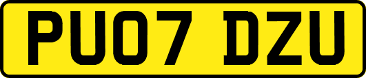 PU07DZU