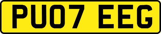 PU07EEG