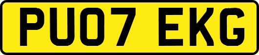 PU07EKG