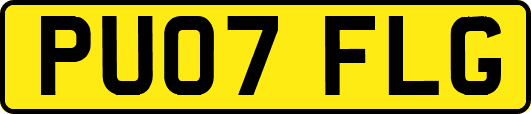 PU07FLG
