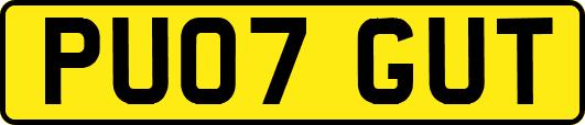 PU07GUT