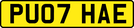 PU07HAE