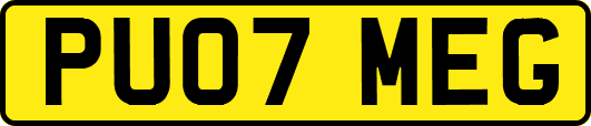 PU07MEG