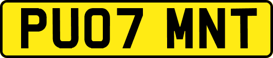 PU07MNT