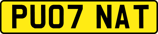 PU07NAT