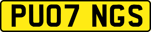 PU07NGS