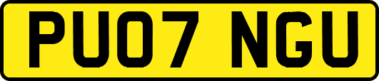 PU07NGU