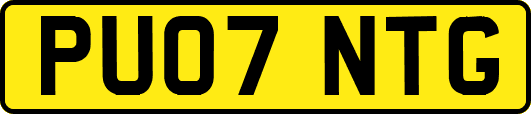 PU07NTG