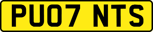 PU07NTS