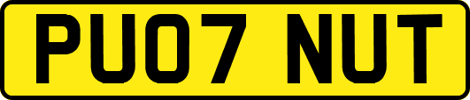 PU07NUT