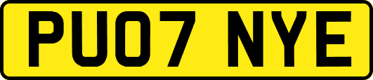 PU07NYE