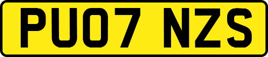 PU07NZS