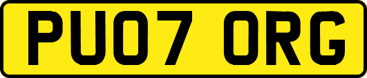 PU07ORG