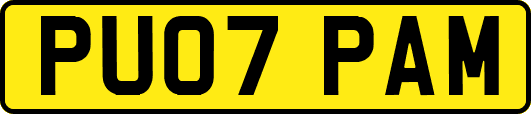 PU07PAM
