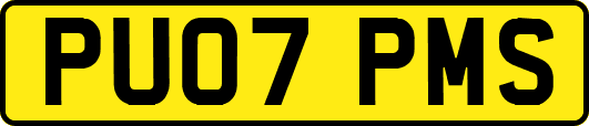 PU07PMS