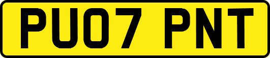 PU07PNT
