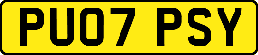 PU07PSY