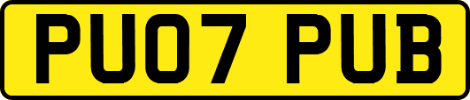 PU07PUB