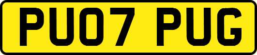 PU07PUG