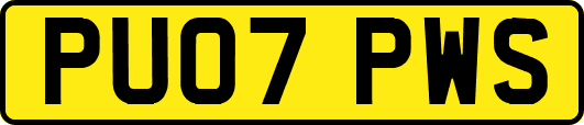PU07PWS