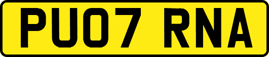 PU07RNA