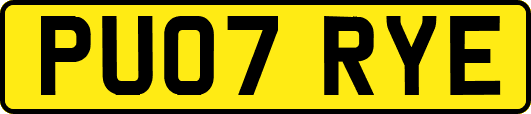 PU07RYE