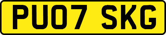 PU07SKG