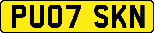 PU07SKN