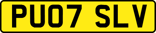 PU07SLV