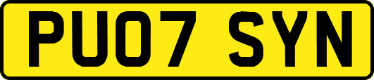 PU07SYN