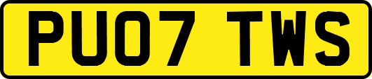 PU07TWS