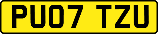 PU07TZU