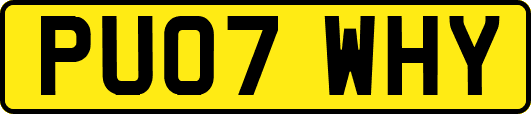PU07WHY