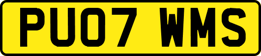PU07WMS