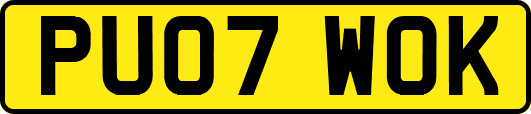 PU07WOK