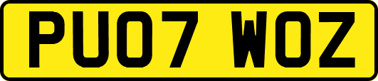 PU07WOZ