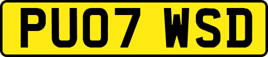 PU07WSD