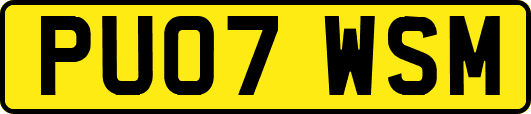 PU07WSM