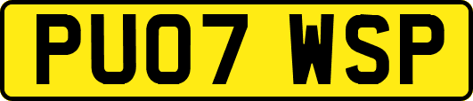 PU07WSP