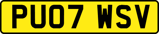 PU07WSV