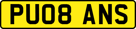 PU08ANS