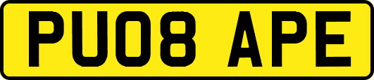 PU08APE