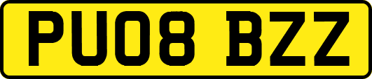 PU08BZZ