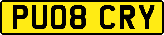PU08CRY