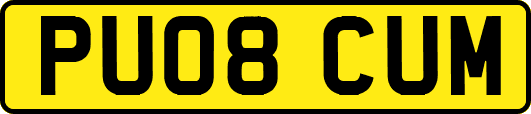 PU08CUM