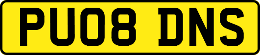 PU08DNS