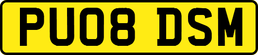 PU08DSM